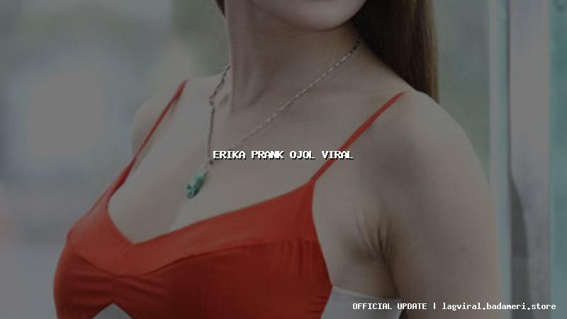 erika prank ojol viral