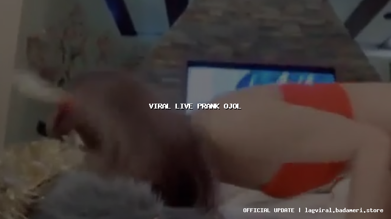 viral live prank ojol